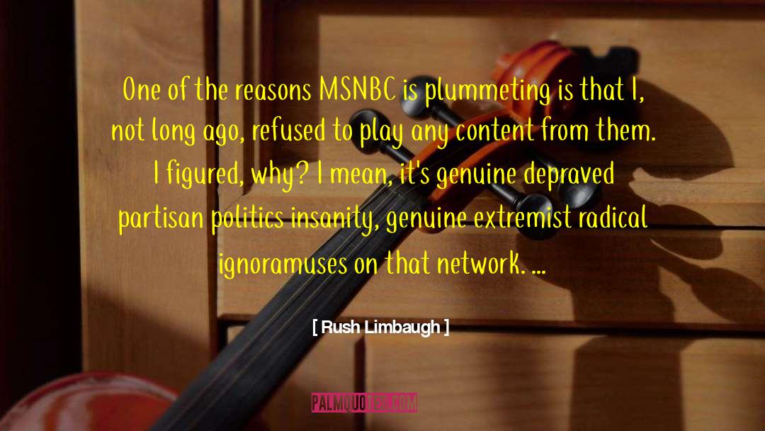 Partisan Politics quotes by Rush Limbaugh