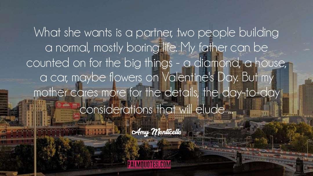 Partner Care quotes by Amy Monticello