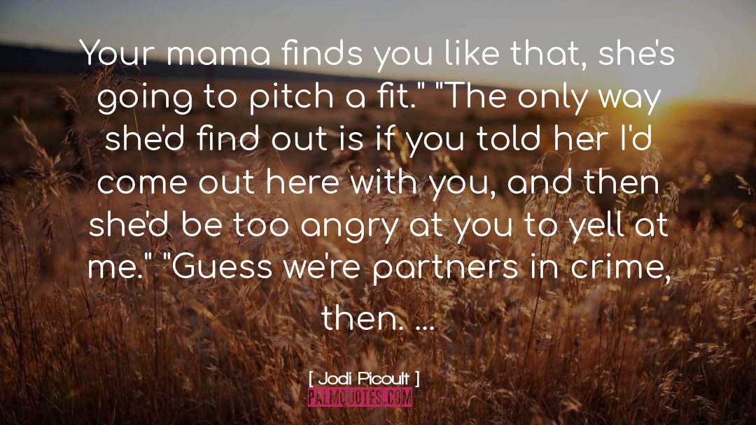 Partners In Crime quotes by Jodi Picoult