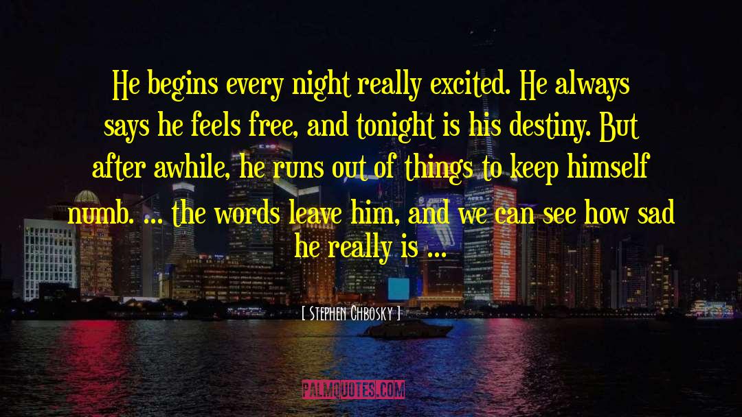Party Every Night quotes by Stephen Chbosky