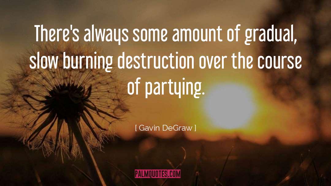 Partying quotes by Gavin DeGraw