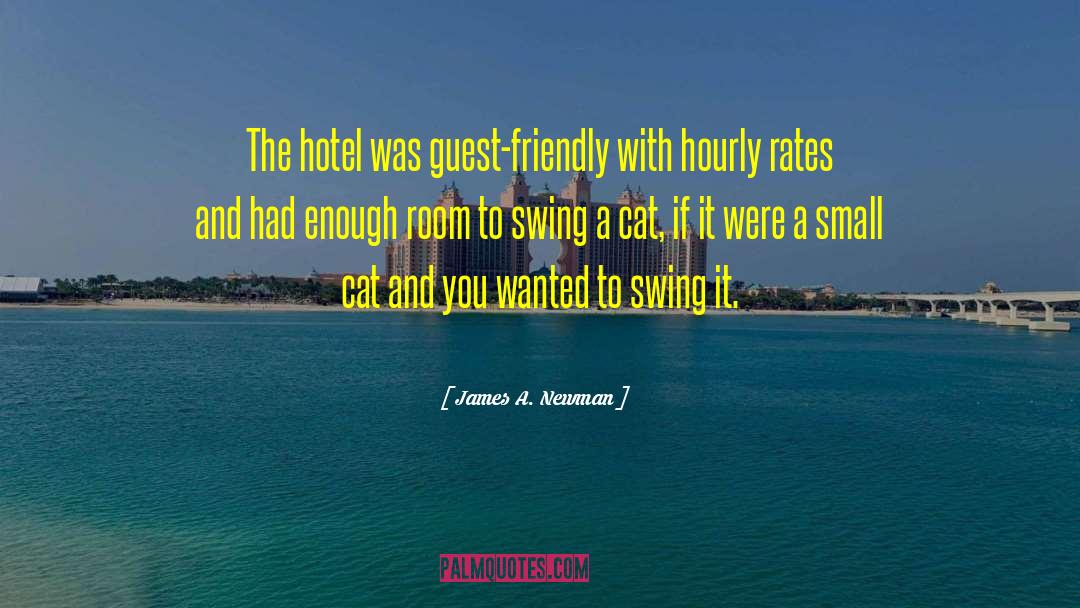 Paseo Hotel quotes by James A. Newman