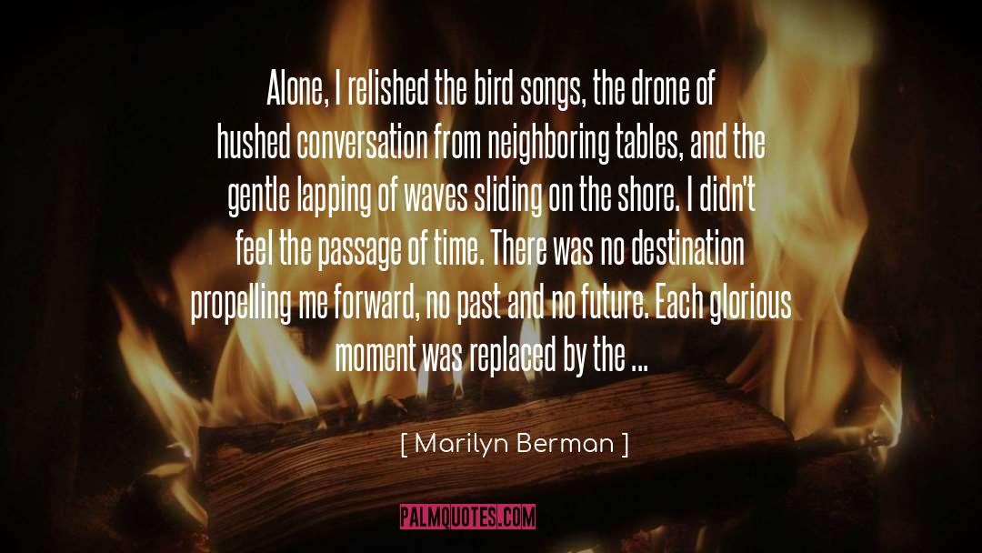 Passage Of Time quotes by Marilyn Berman