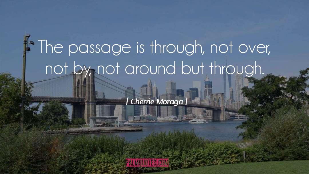 Passages Malibu quotes by Cherrie Moraga