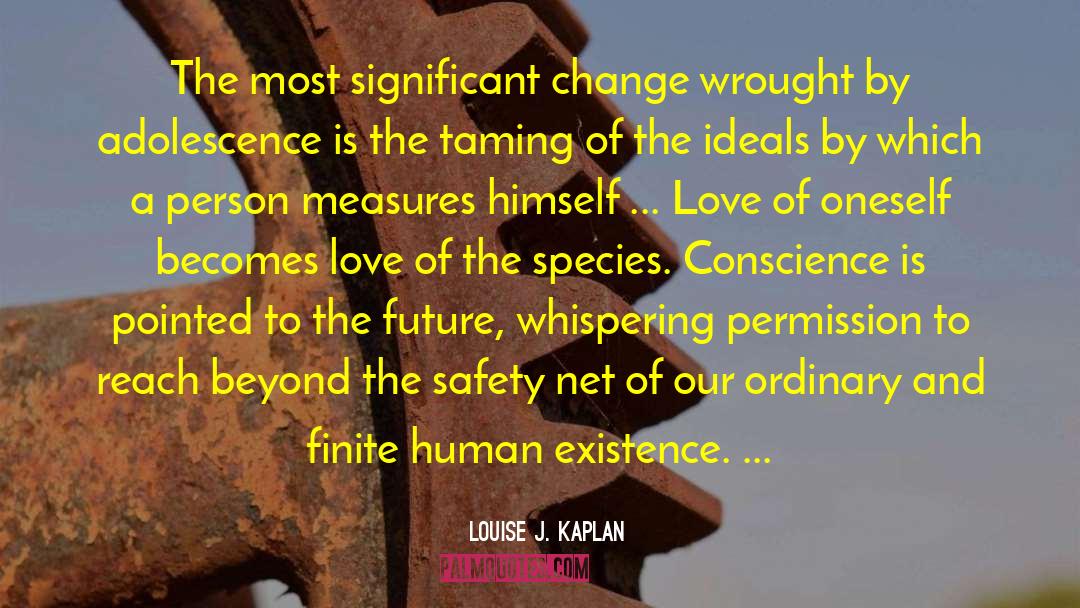 Passenger Safety quotes by Louise J. Kaplan