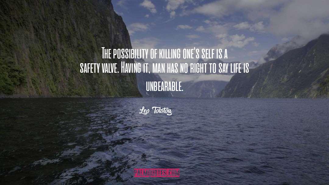 Passenger Safety quotes by Leo Tolstoy