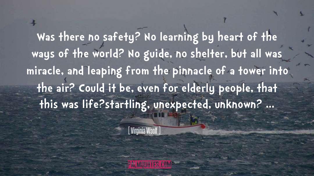 Passenger Safety quotes by Virginia Woolf