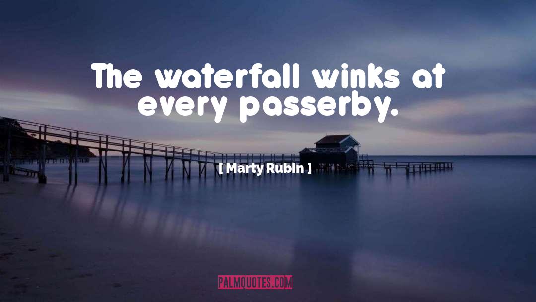 Passerby quotes by Marty Rubin