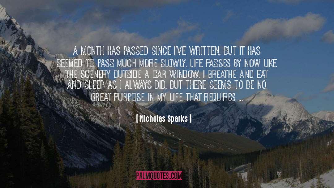 Passes By quotes by Nicholas Sparks