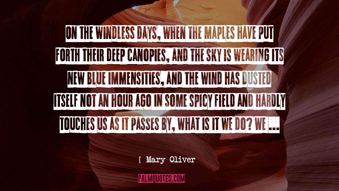 Passes By quotes by Mary Oliver