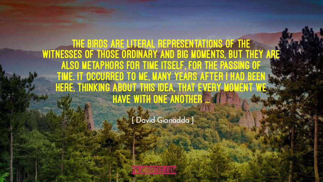 Passing Of Time quotes by David Gianadda
