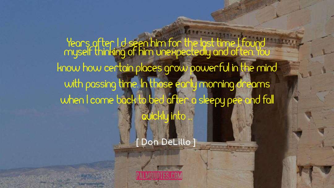 Passing Time quotes by Don DeLillo