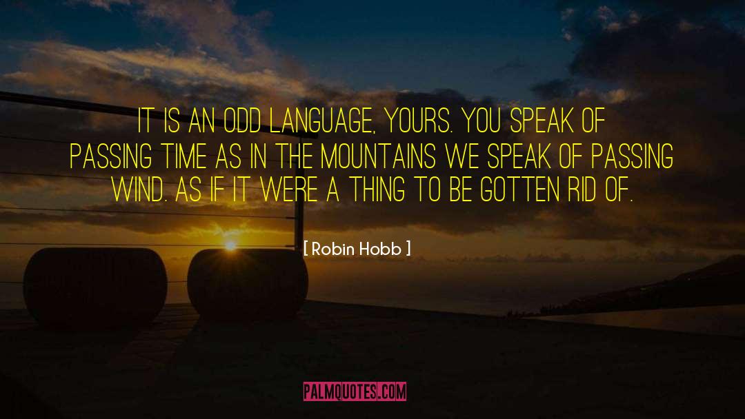 Passing Time quotes by Robin Hobb