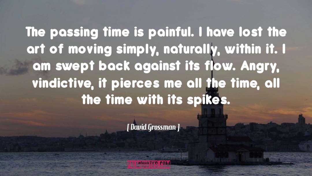 Passing Time quotes by David Grossman