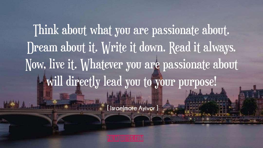 Passion Dream quotes by Israelmore Ayivor