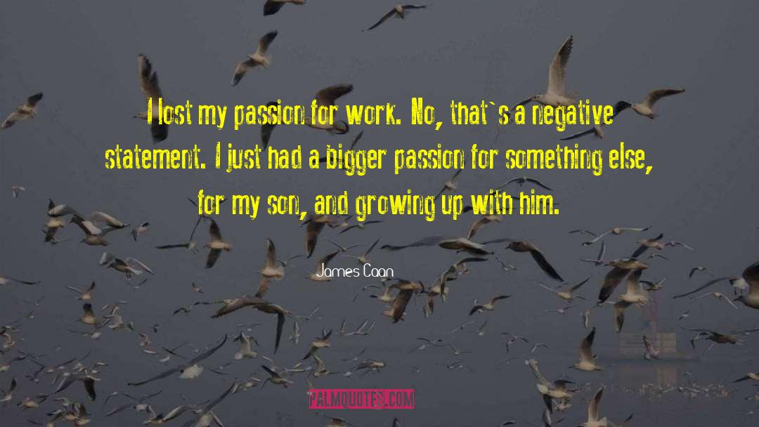 Passion For Work quotes by James Caan