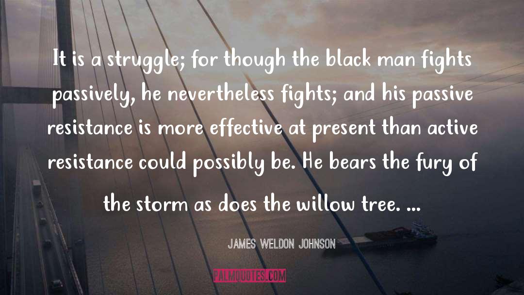 Passive Resistance quotes by James Weldon Johnson