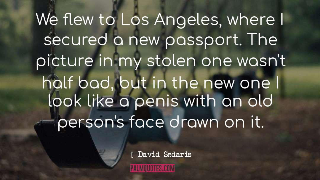 Passport quotes by David Sedaris