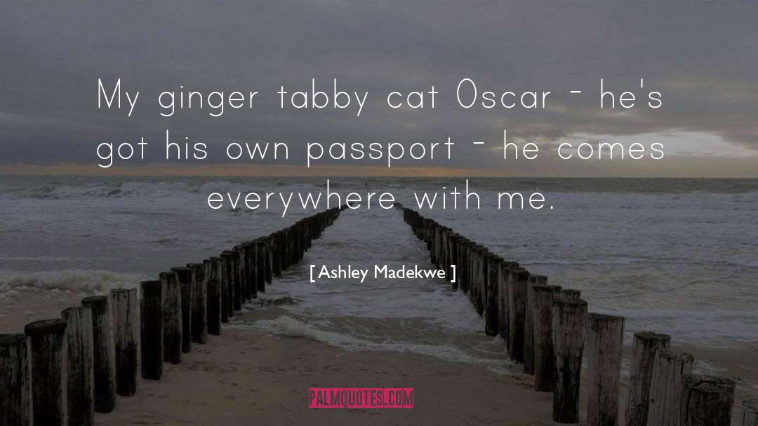 Passports quotes by Ashley Madekwe