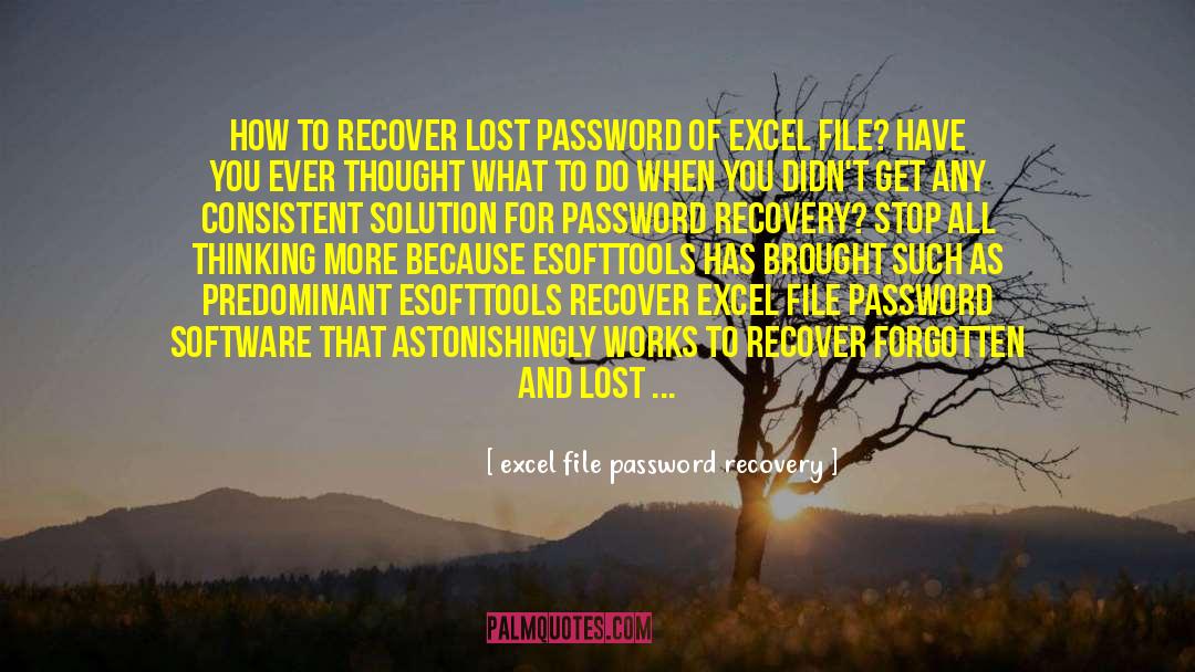 Password quotes by Excel File Password Recovery