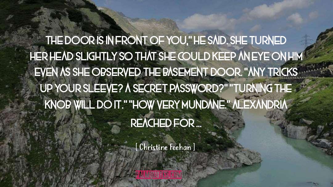 Password quotes by Christine Feehan