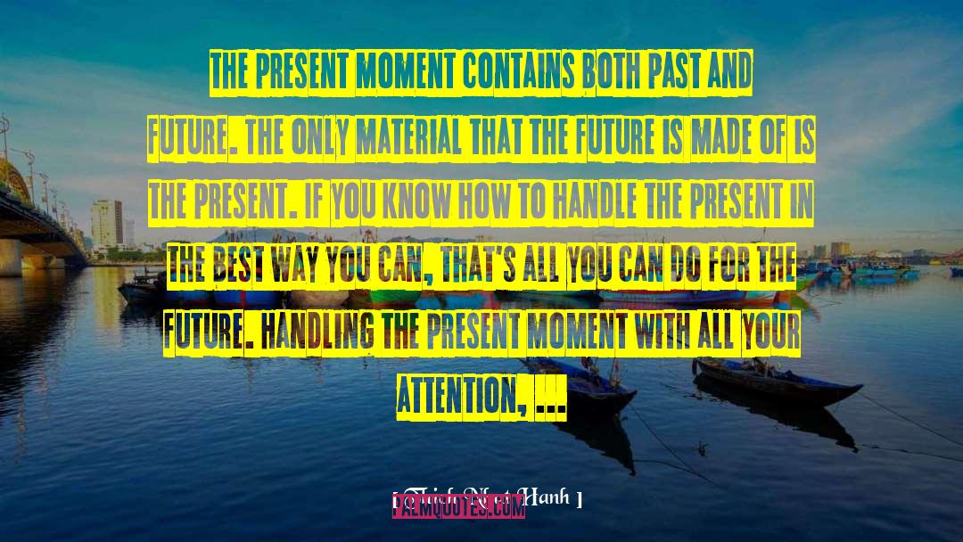 Past And Future quotes by Thich Nhat Hanh