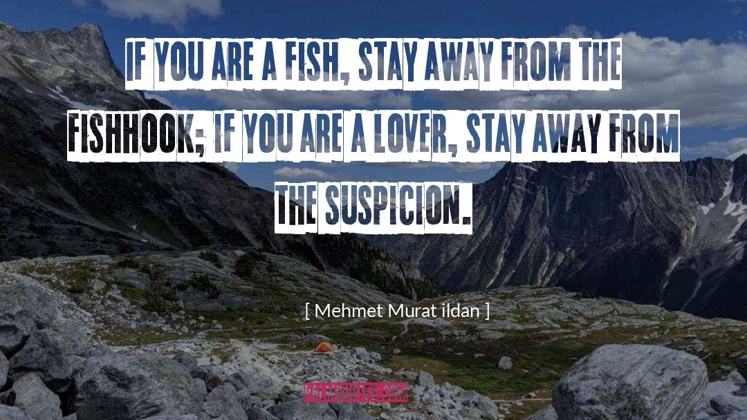 Past Away quotes by Mehmet Murat Ildan