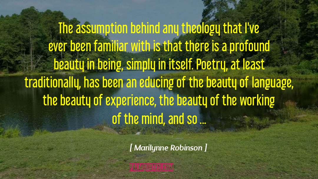 Past Being Good quotes by Marilynne Robinson