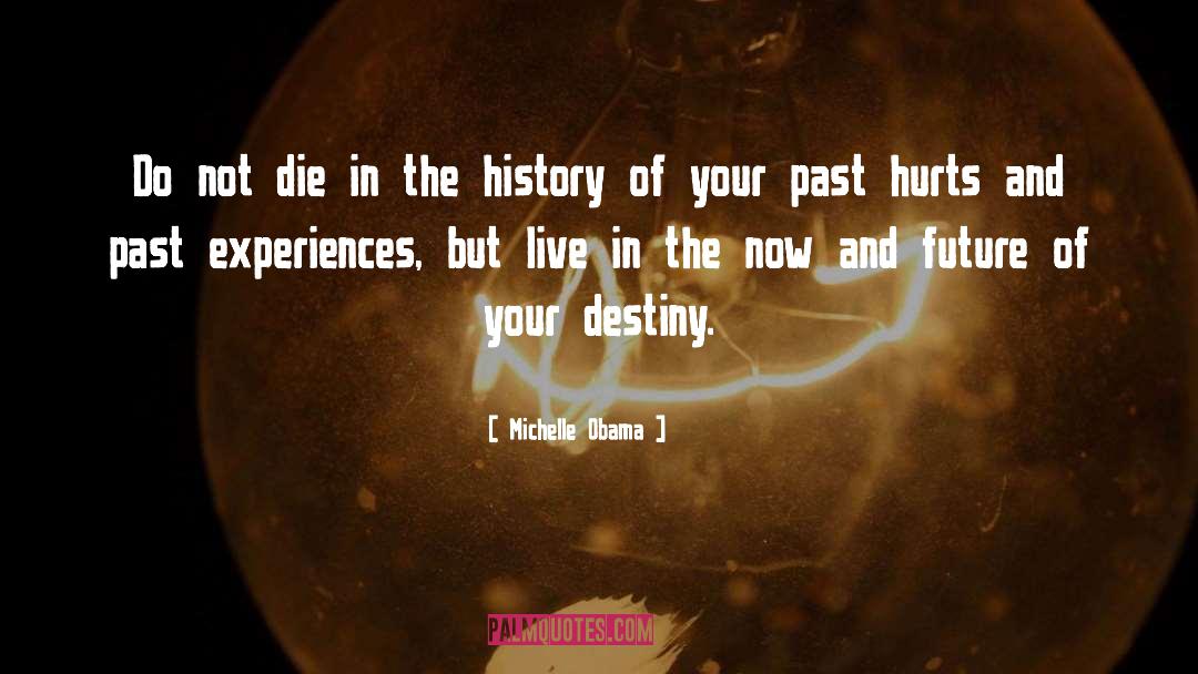 Past Experiences quotes by Michelle Obama