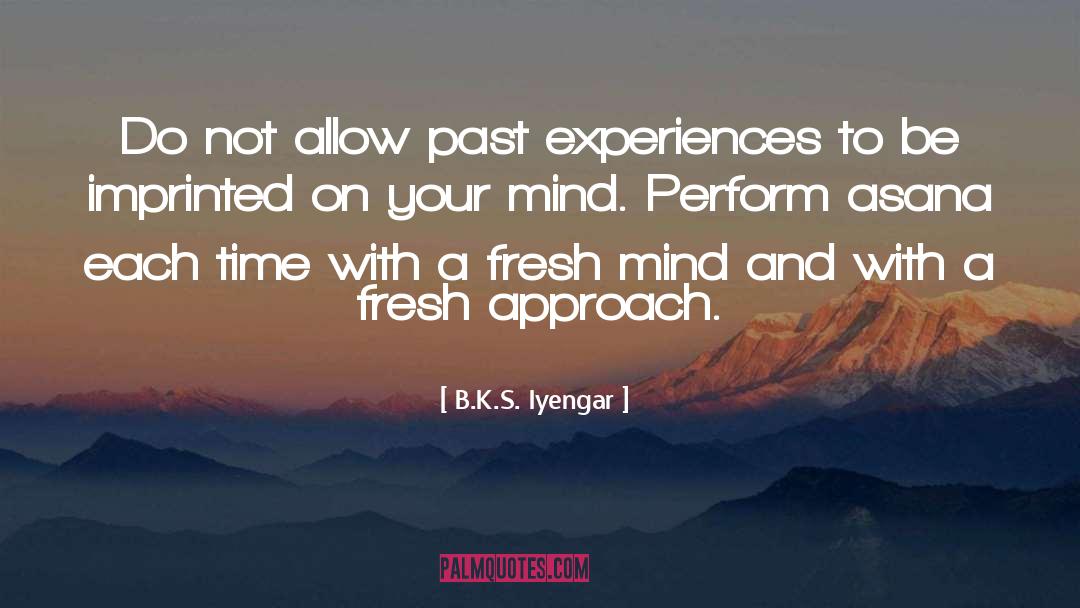 Past Experiences quotes by B.K.S. Iyengar