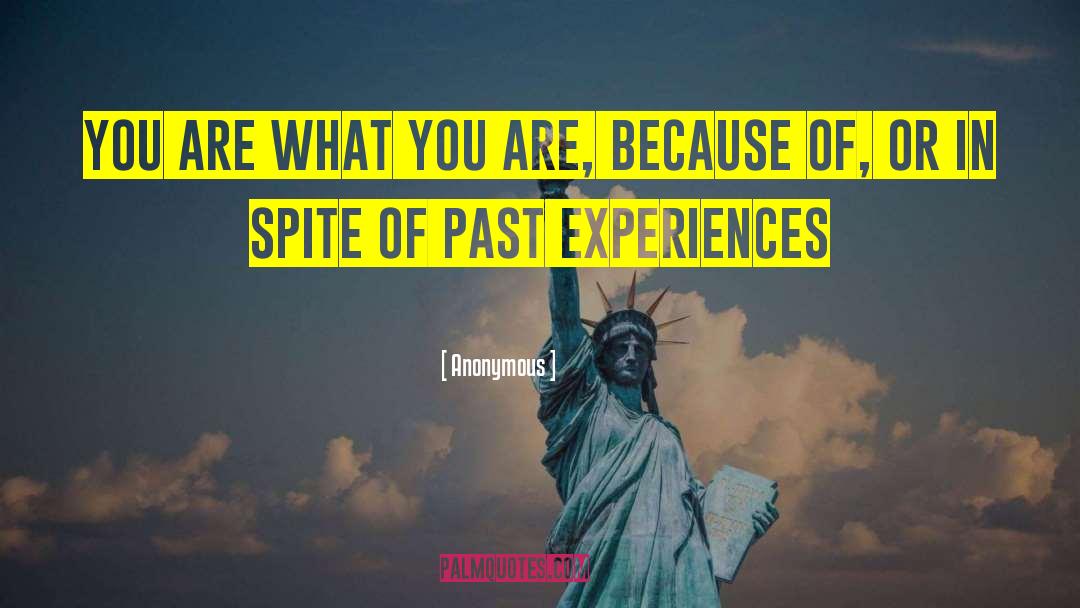 Past Experiences quotes by Anonymous