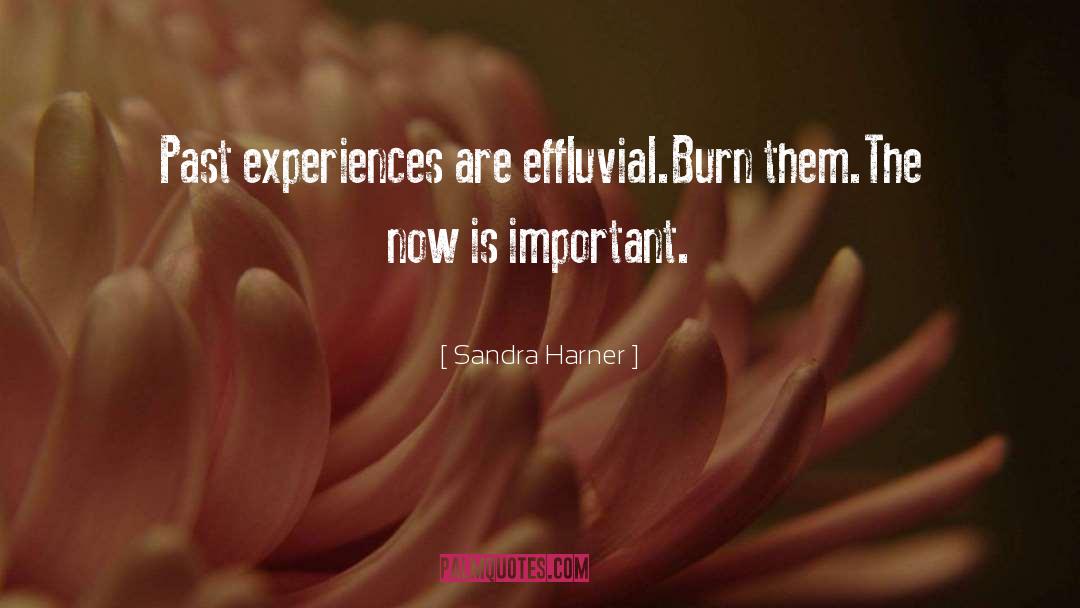 Past Experiences quotes by Sandra Harner