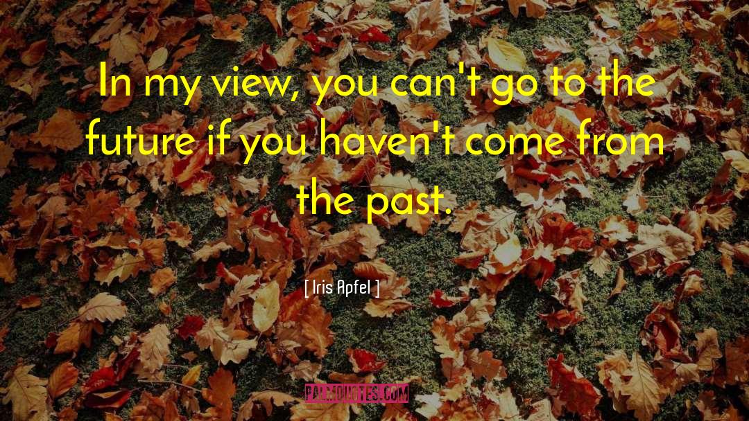 Past Future quotes by Iris Apfel