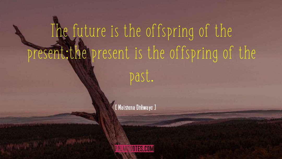 Past Future quotes by Matshona Dhliwayo