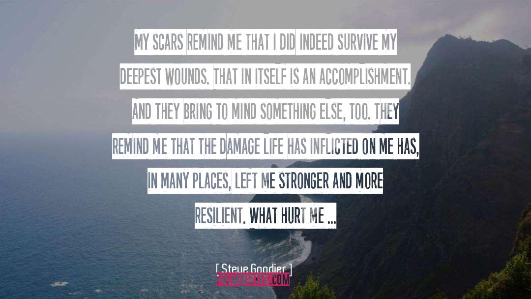 Past Hurts quotes by Steve Goodier