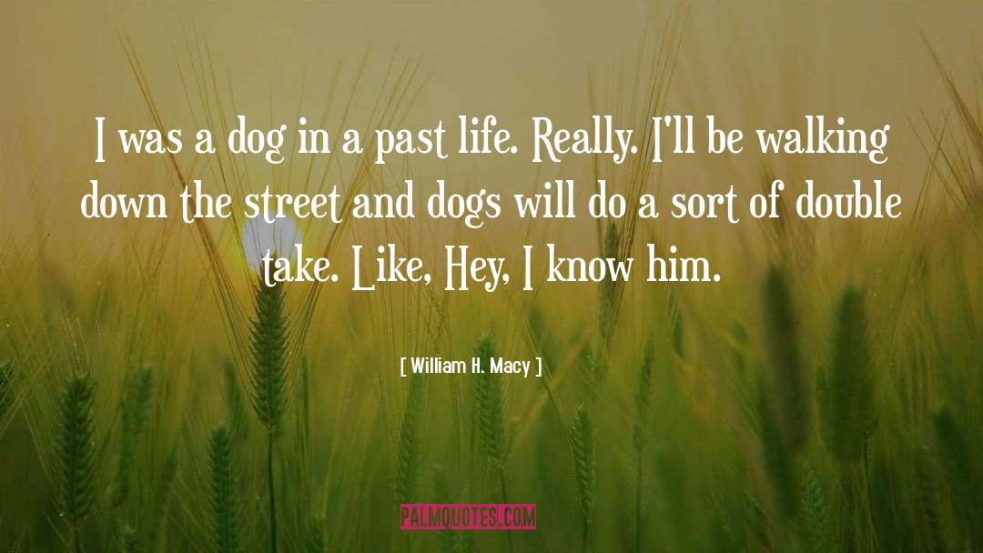 Past Life quotes by William H. Macy