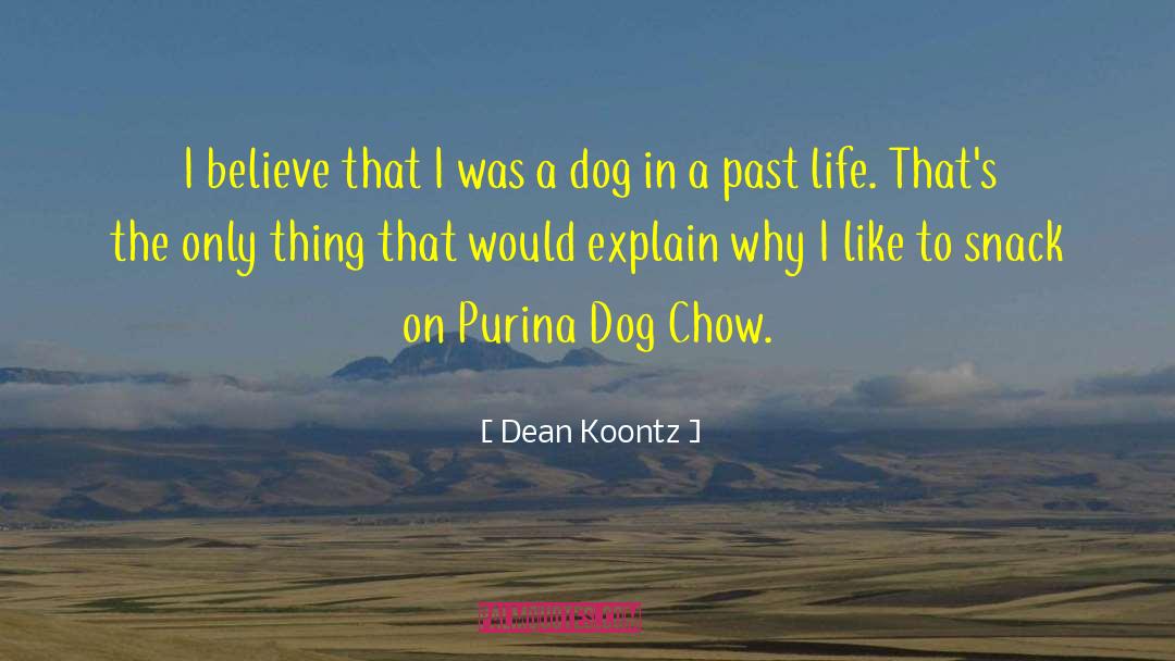 Past Life quotes by Dean Koontz