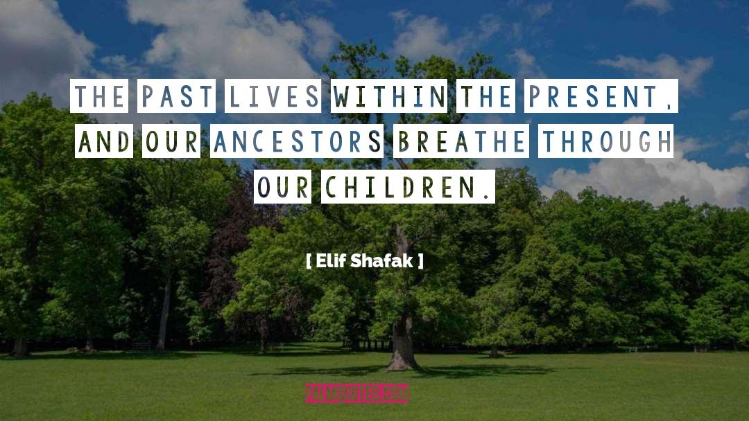 Past Lives quotes by Elif Shafak