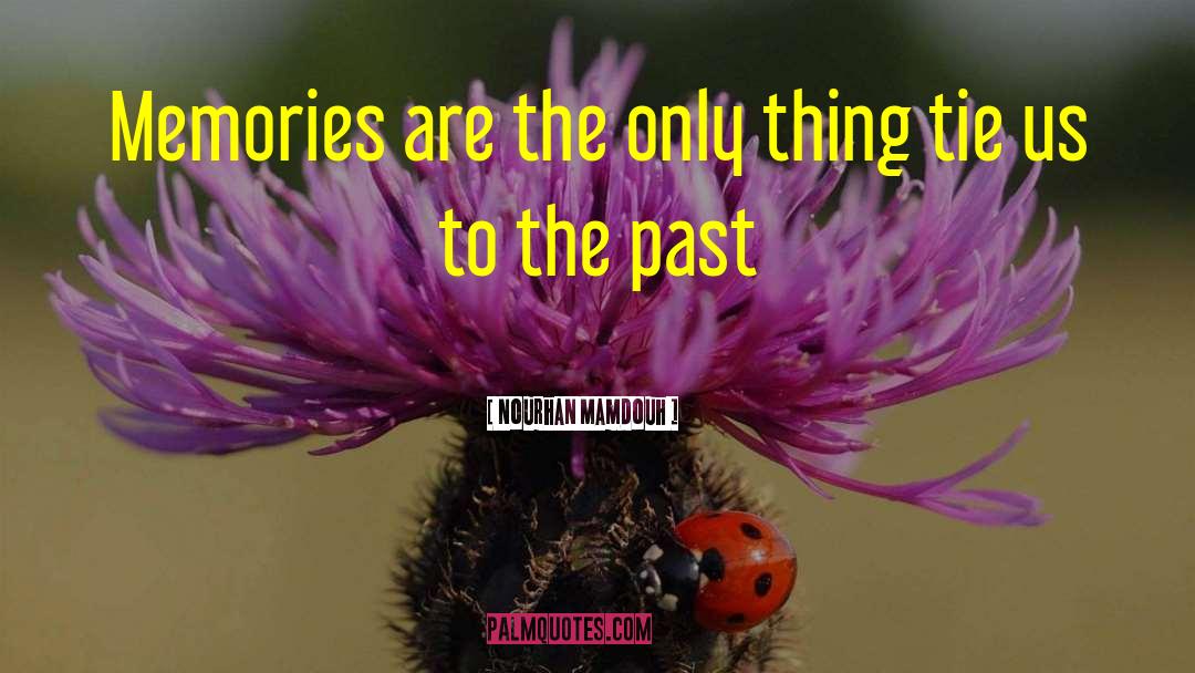 Past Memories quotes by Nourhan Mamdouh