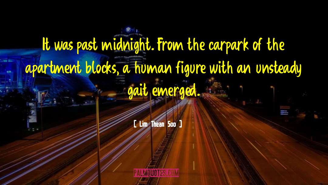 Past Midnight quotes by Lim Thean Soo