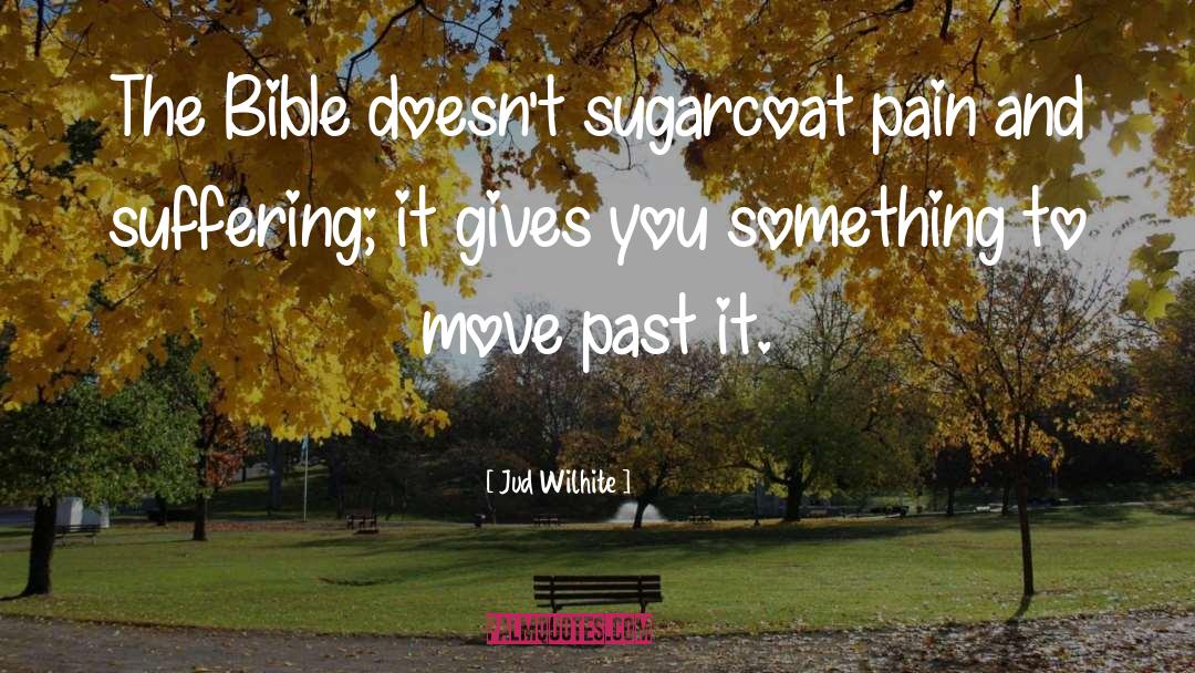 Past Pain quotes by Jud Wilhite