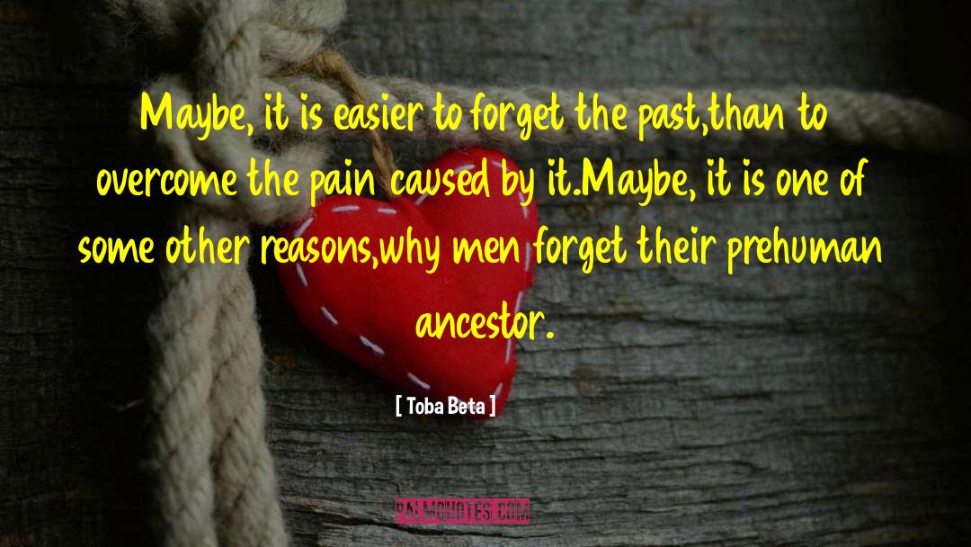 Past Pain quotes by Toba Beta