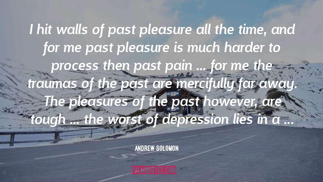 Past Pain quotes by Andrew Solomon