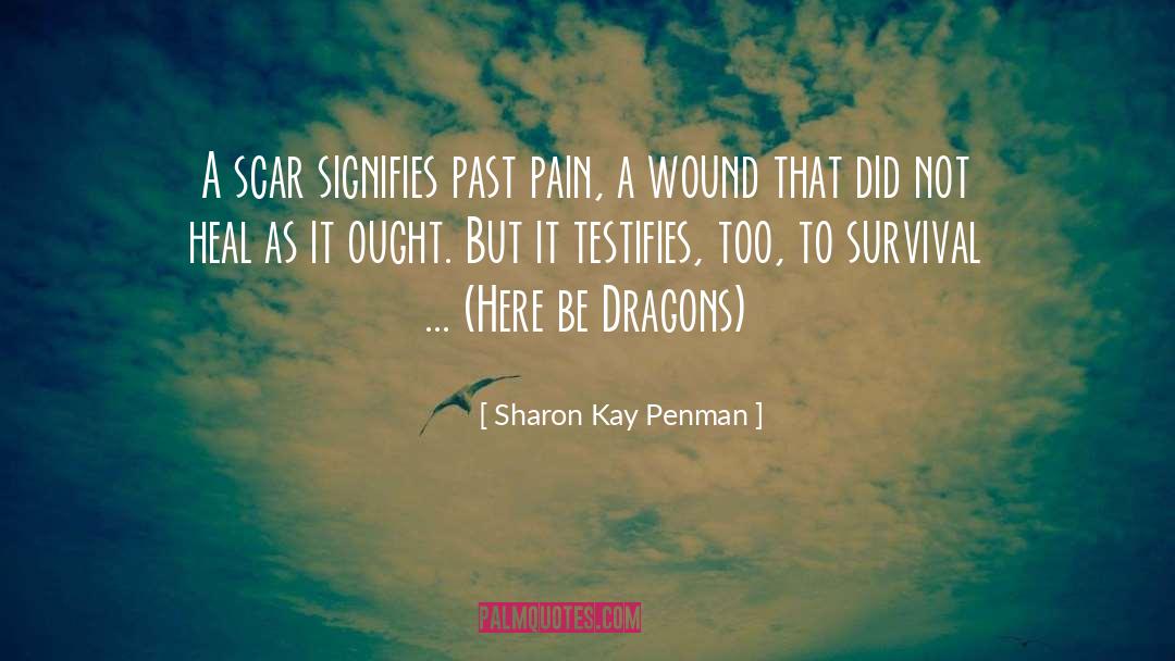 Past Pain quotes by Sharon Kay Penman