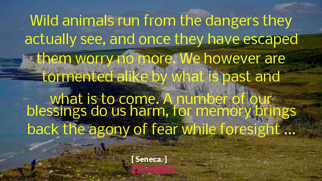 Past Present Future quotes by Seneca.