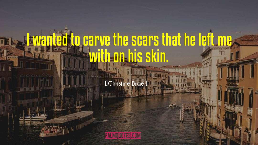 Past Scars quotes by Christine Brae