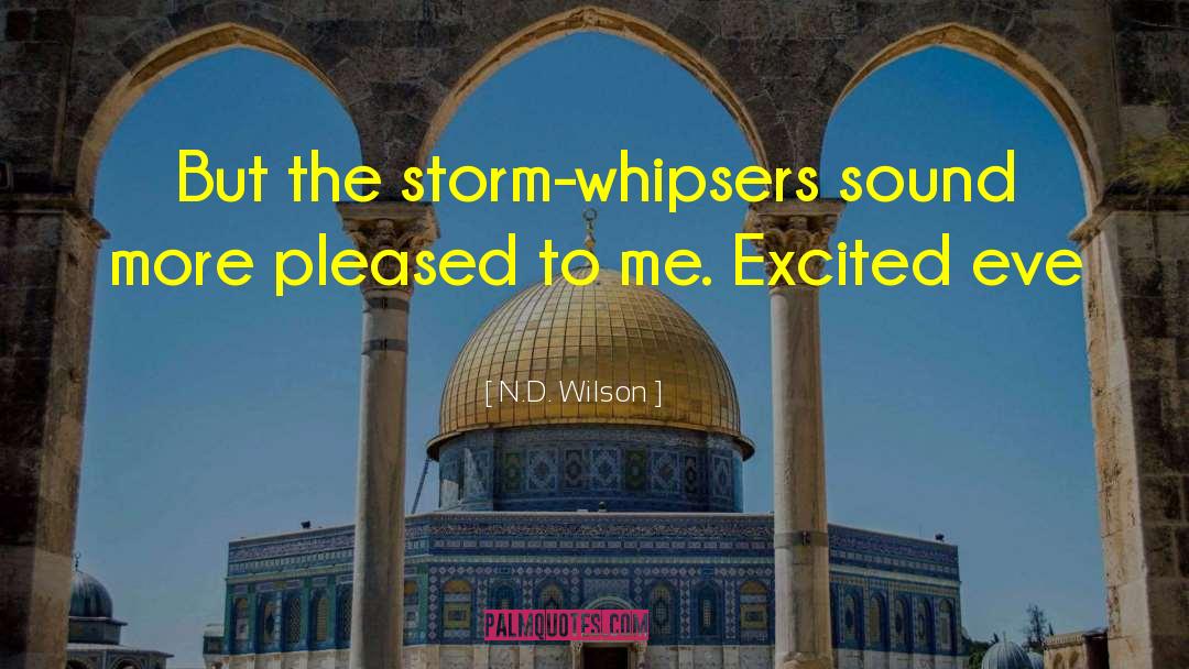 Past Sorrow quotes by N.D. Wilson