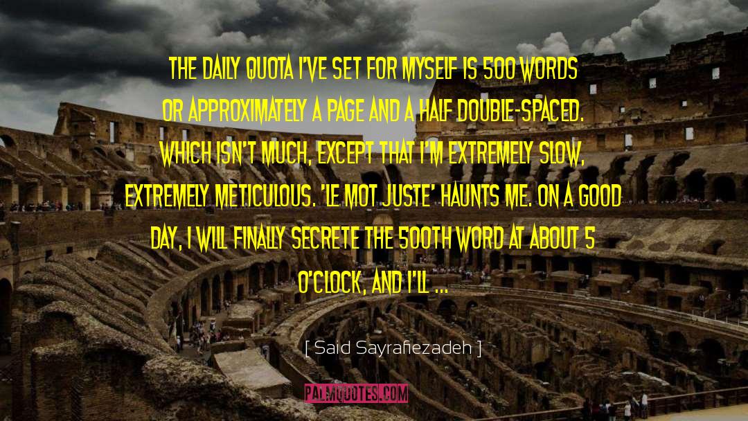 Past Still Haunts Me quotes by Said Sayrafiezadeh