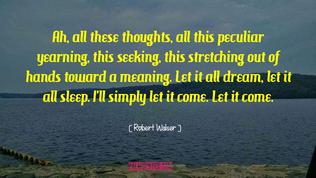 Past Thoughts quotes by Robert Walser
