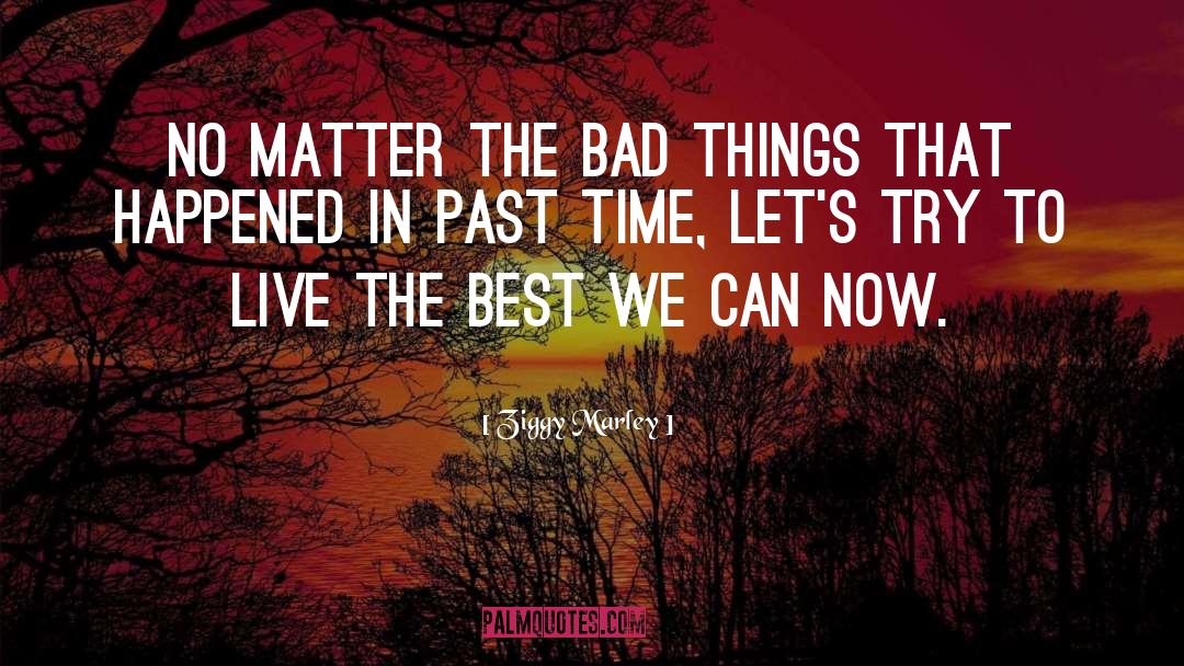 Past Time quotes by Ziggy Marley